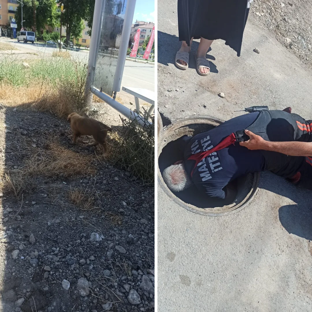 Malatya'da Logara Düşen Köpek Güçlükle Kurtarıldı.