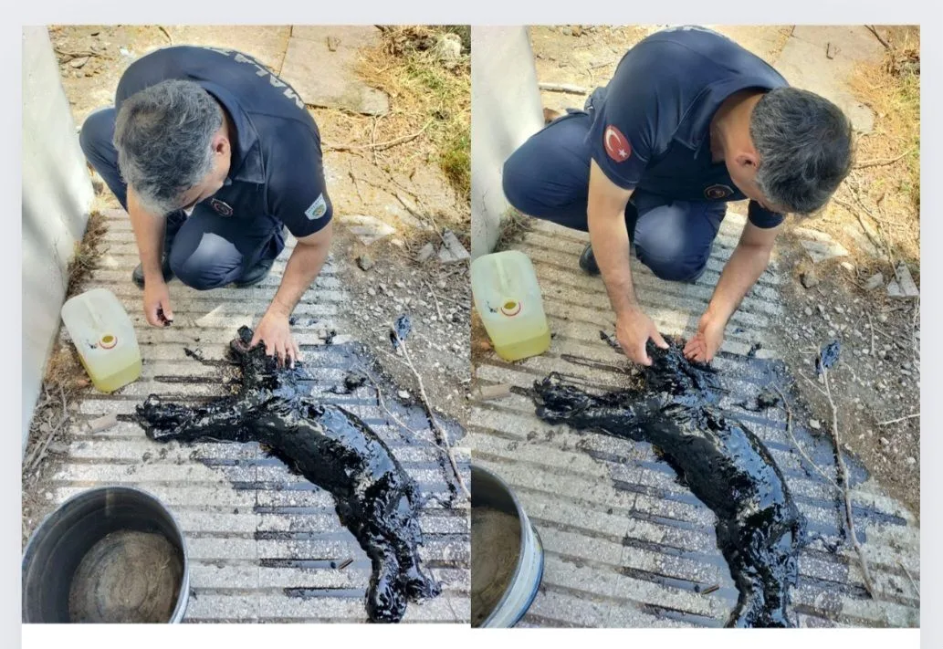 Malatya'da Yavru Köpek Zifte Bulanmış Halde Bulundu!