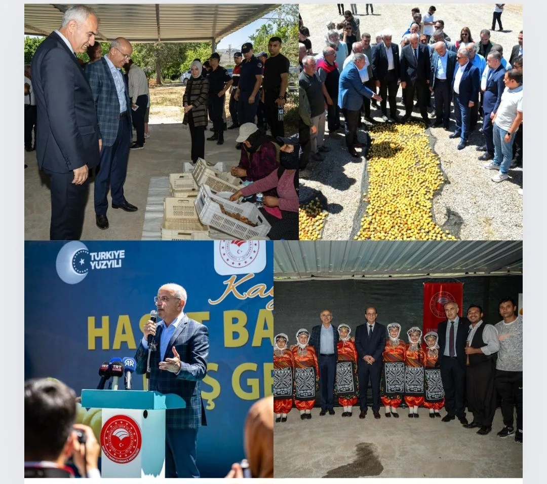 KAYISI FESTİVALİ 19-21 TEMMUZ TARİHLERİ ARASINDA YAPILACAK