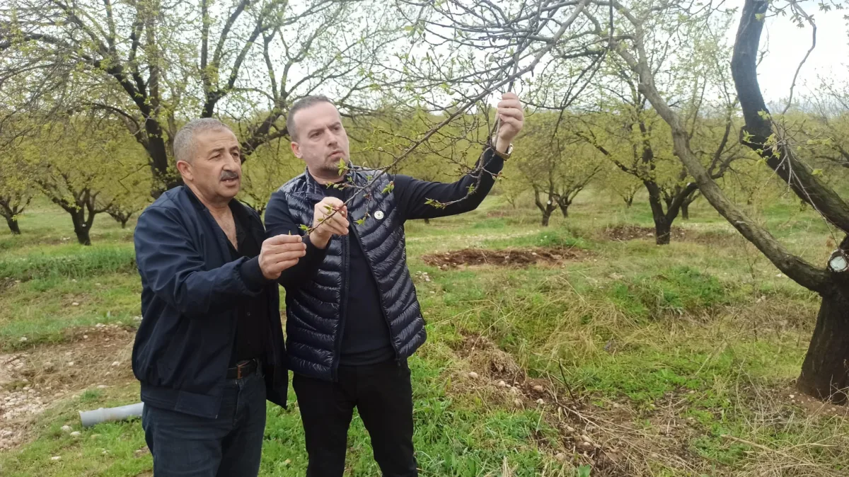 MAGİNDER Başkanı Karademir'den Yetkililere Çağrı:"Çiftçilerin Zararını Karşılayın!"