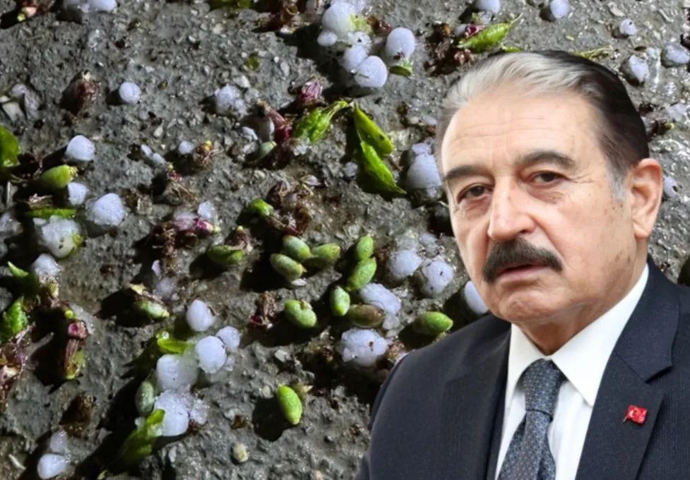 Keskin’den Milletvekillerine Çağrı, “KAYISI ÜRETİCİSİNE SAHİP ÇIKIN”