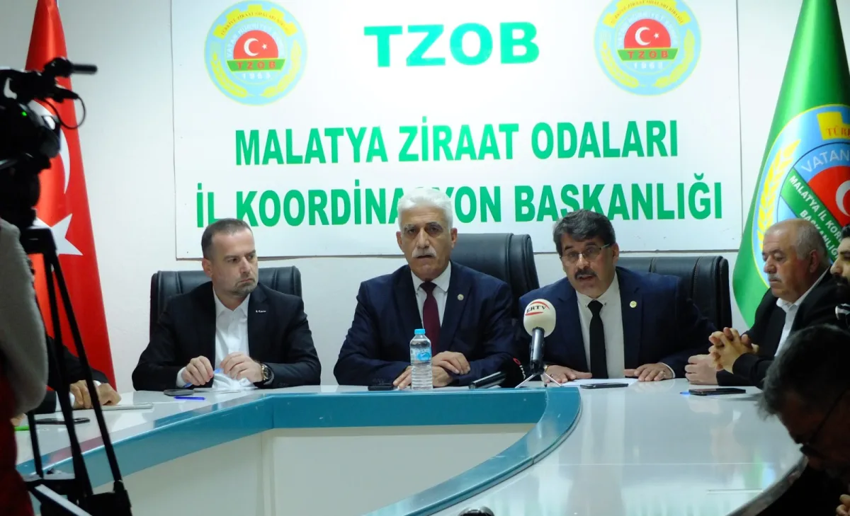 MALATYA’DA KAYISIYI VURAN DON FELAKETİNE ORTAK TEPKİ: “TARIMSAL AFET BÖLGESİ İLAN EDİLSİN”