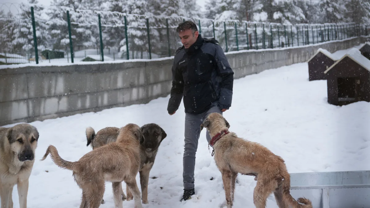 BATTALGAZİ’DE MALATYA’NIN İKİNCİ HAYVAN BARINAĞI HİZMETE BAŞLADI