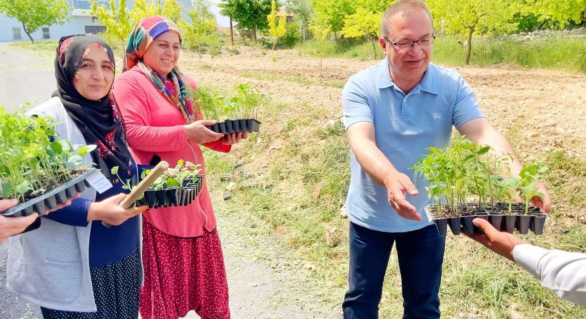 Akçadağ Belediyesi Sebze Fidelerini Çiftçilerle Buluşturdu