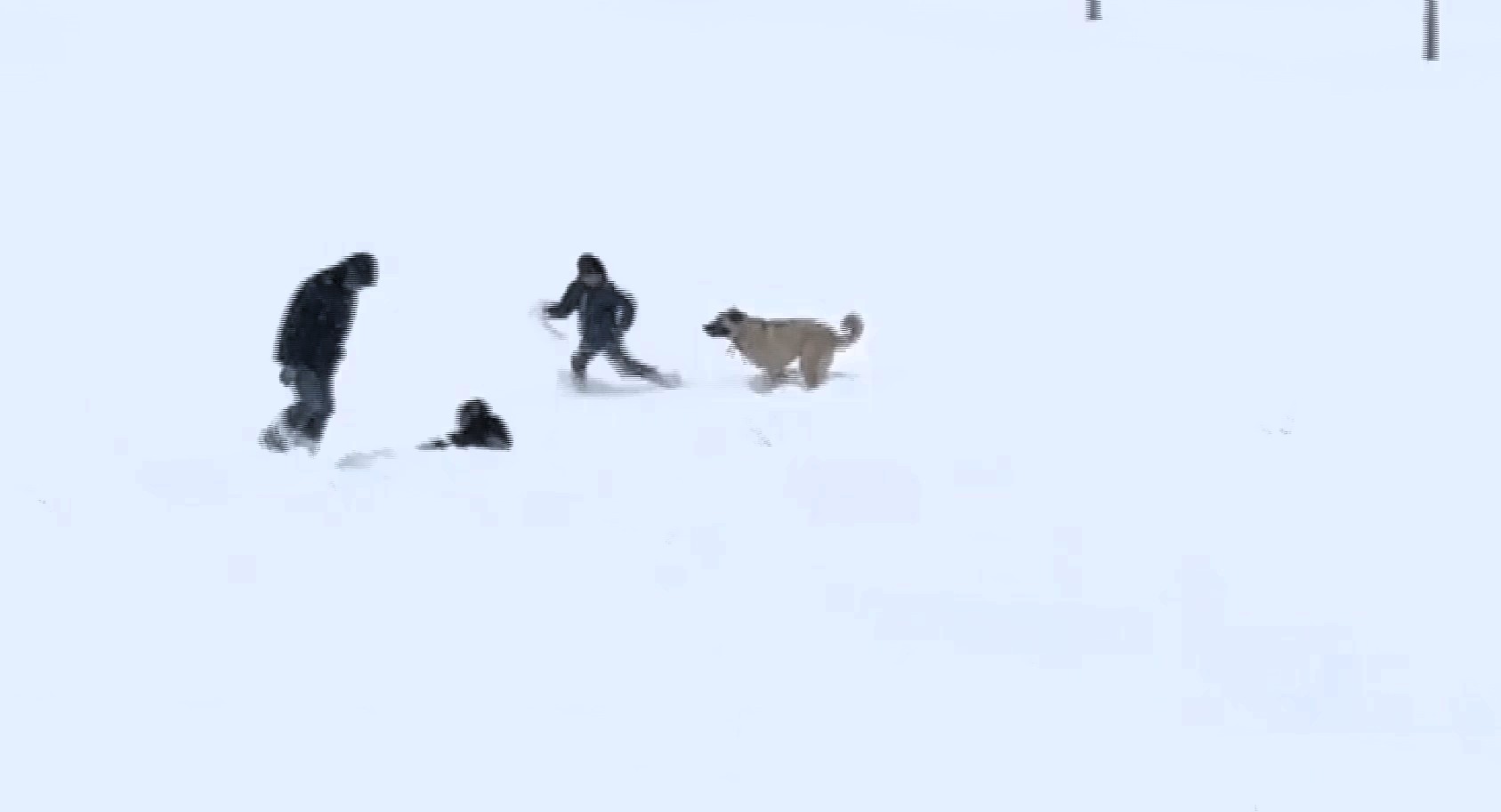 Arguvan’da Kar Neşesi: Çocuklar Oynadı, Köpek de Onlara Katıldı