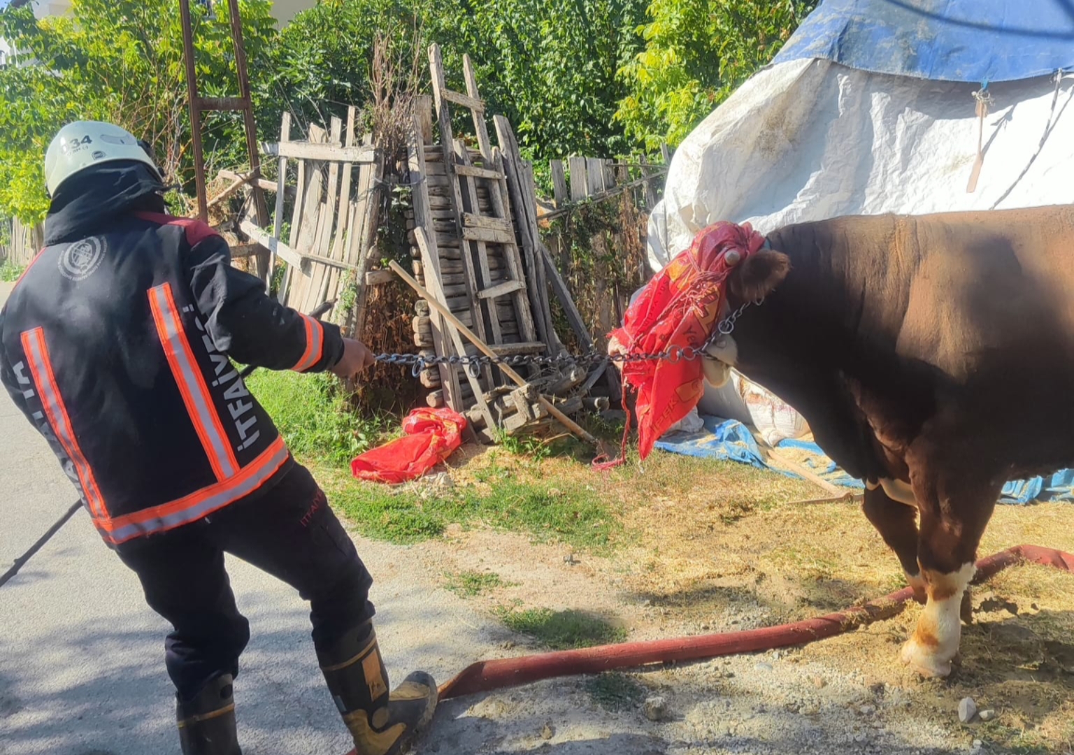Battalgazi’de Ahır Yangını: 8 Büyükbaş Hayvan Kurtarıldı