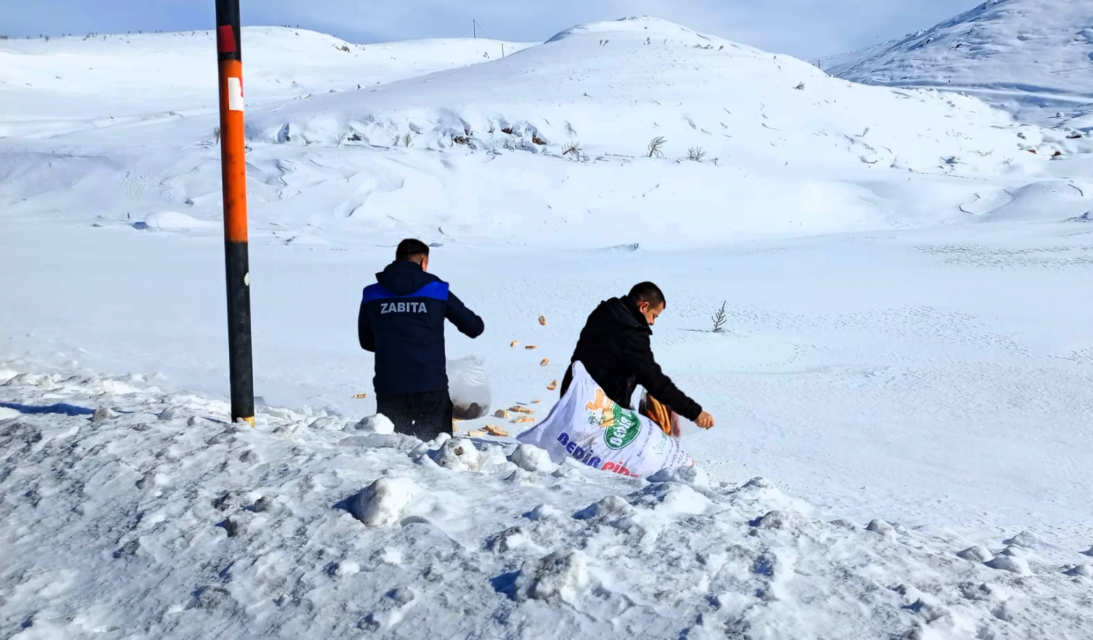 Doğanşehir’de Yaban Hayvanları Unutulmadı