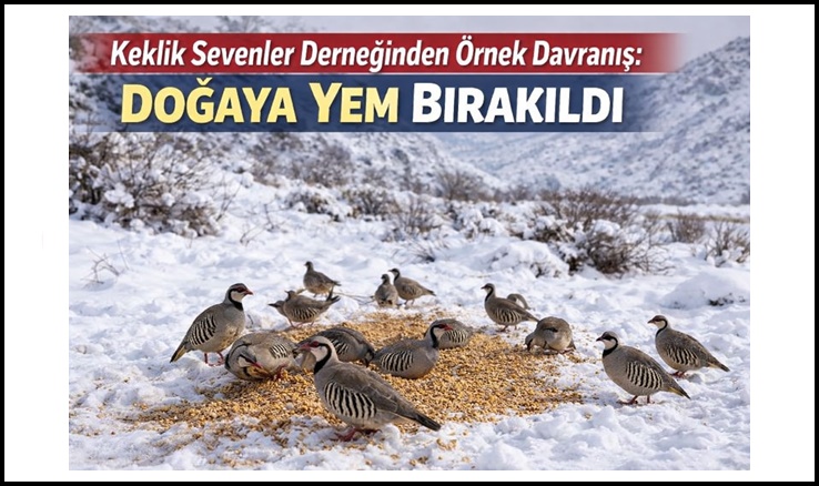 Keklik Sevenler Derneğinden Örnek Davranış: Doğaya Yem Bırakıldı