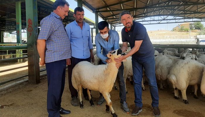 Malatya Çiftçisinin Zirai Kredi Borçları Ertelenmiyor.