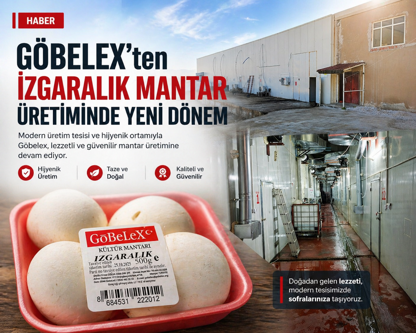 MALATYA’DA ALTERNATİF TARIMIN YENİ YÜZÜ: AYDA 15 TON MANTAR ÜRETİMİ