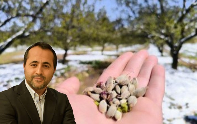 Malatya Kayısı Üreticisine 7,1 Milyar TL Müjdesi: Don Ödemeleri Önümüzdeki Hafta Başlıyor