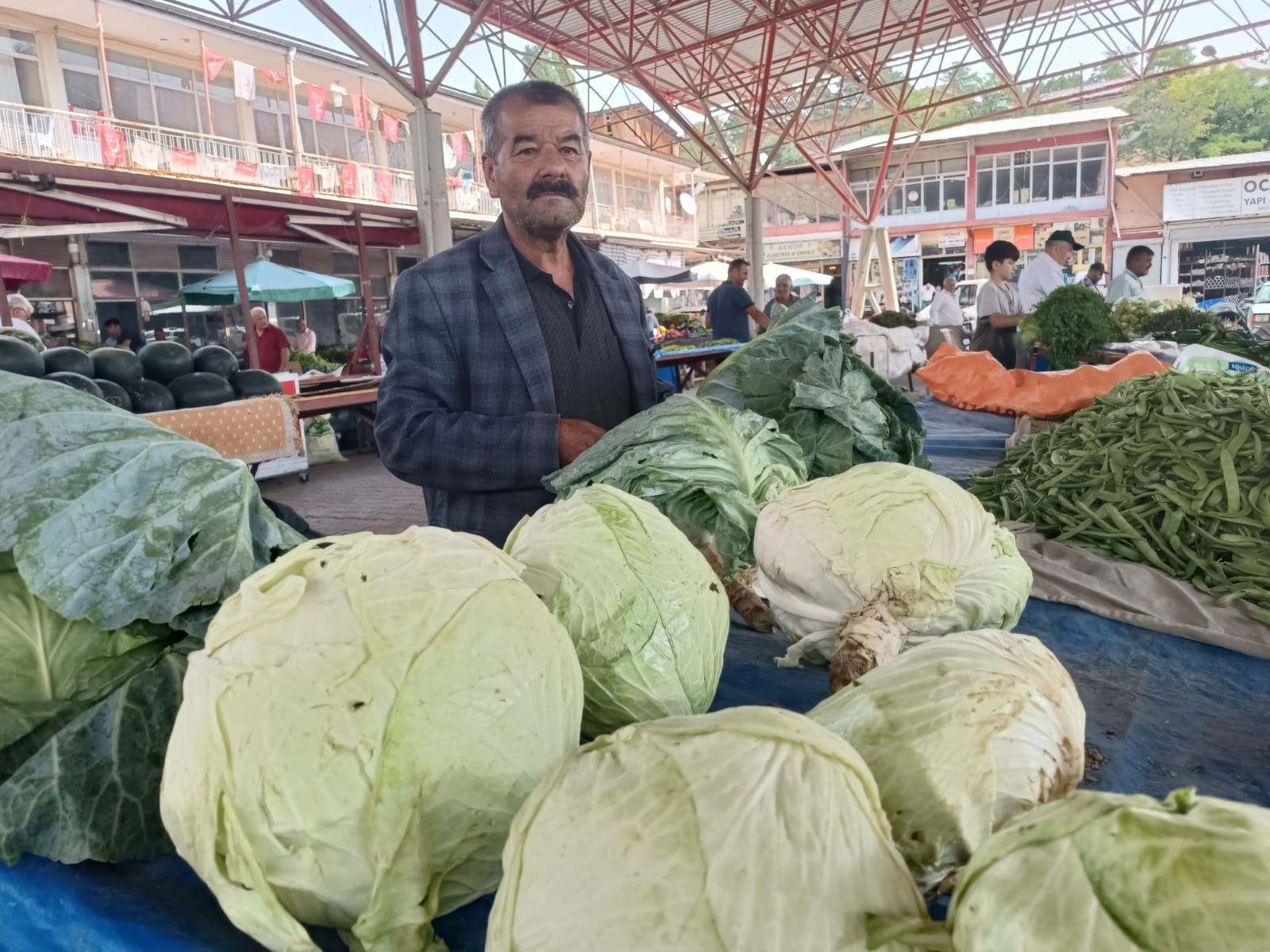 Tezgahların Kralı Lahana, Pazara İndi
