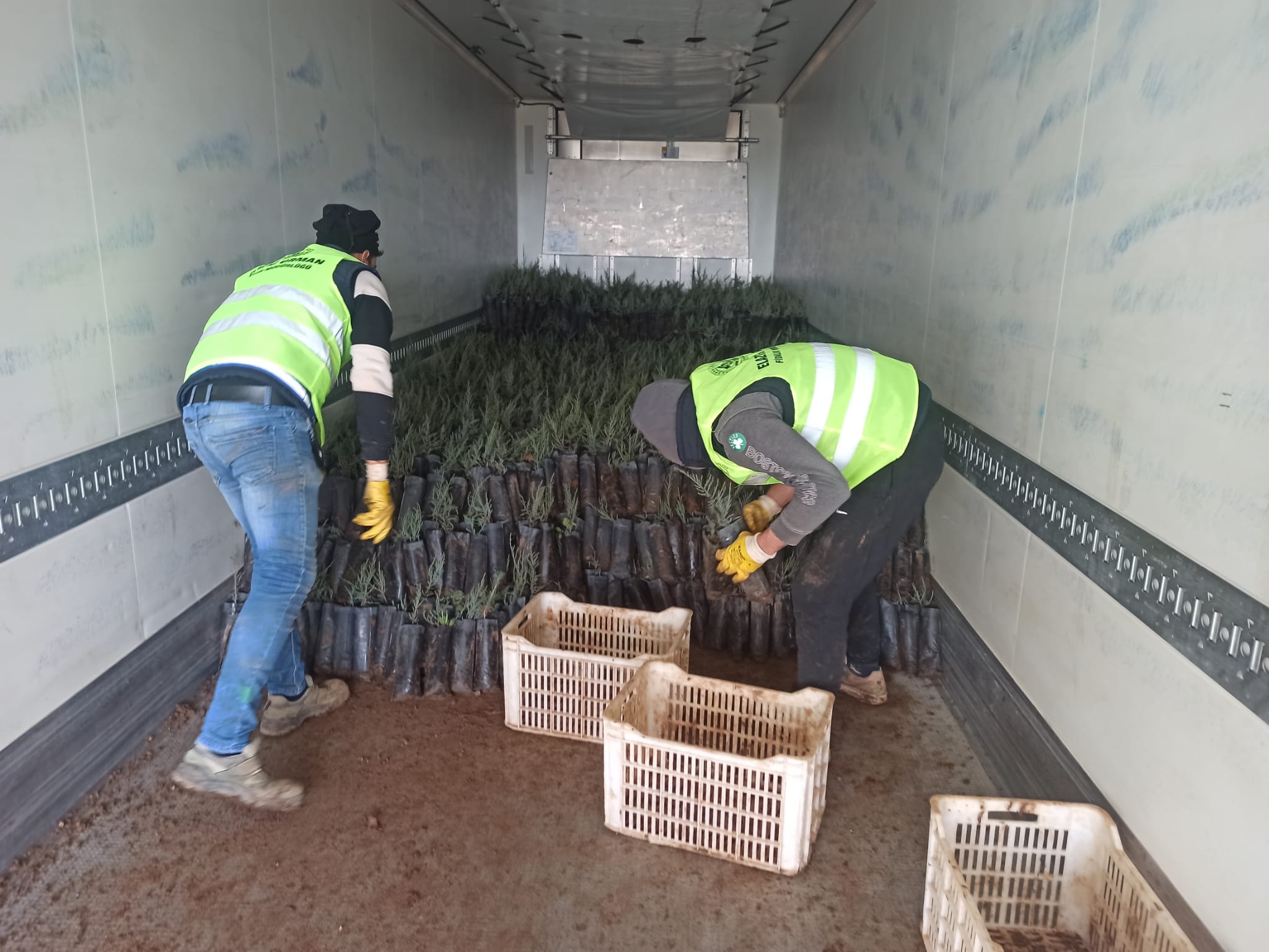 Türkiye’den Türkmenistan’a 50 Bin Fidan Desteği