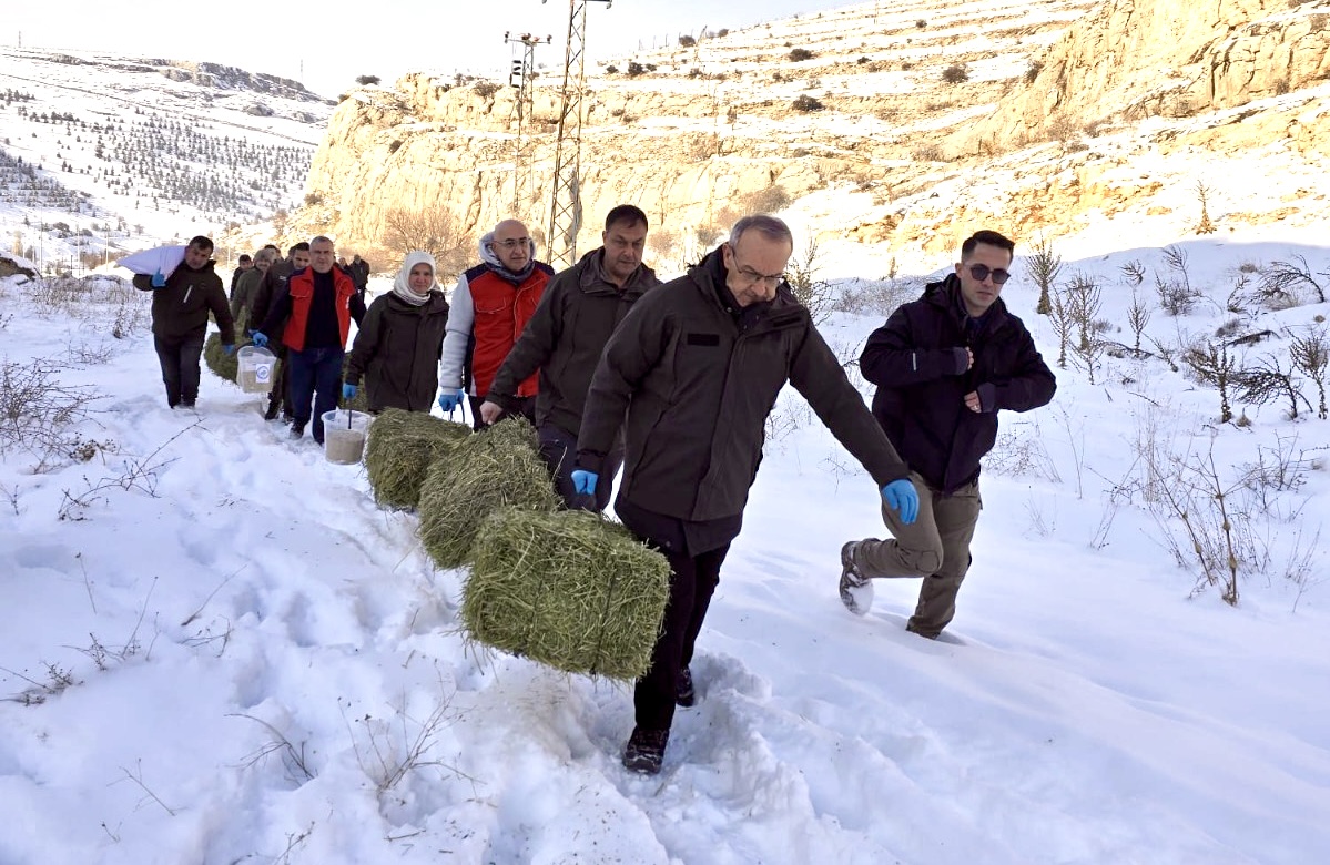 Vali Seddar Yavuz: Kış Şartlarında Zorlanan Yaban Hayvanları İçin Sahadayız
