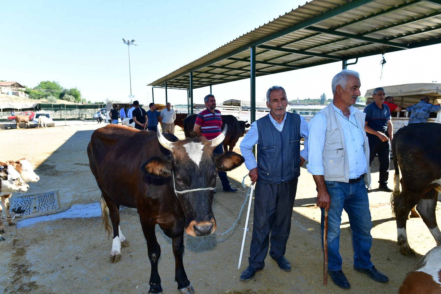 YEŞİLYURT BELEDİYESİ 41 NOKTADA KURBAN SATIŞ VE KESİM YERİ BELİRLEDİ