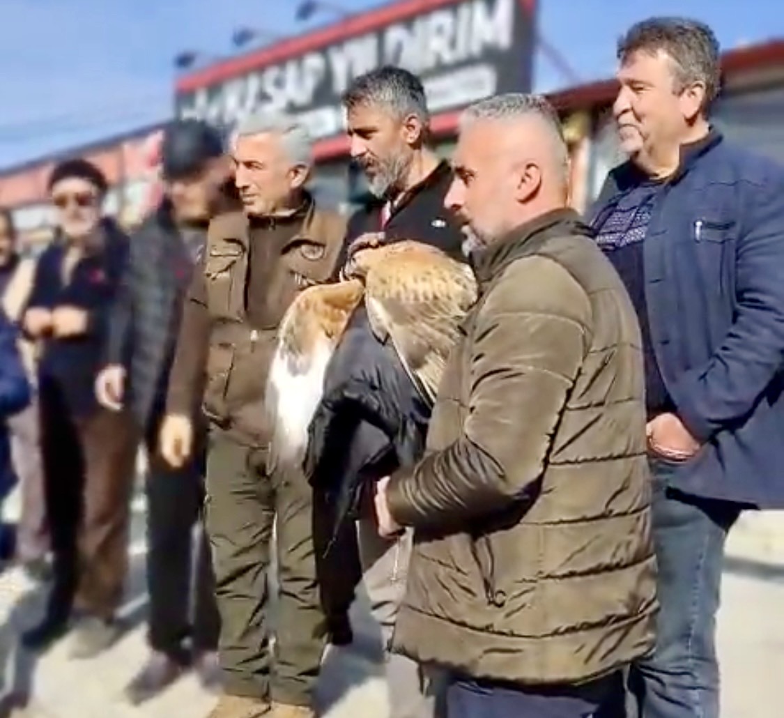 Yeşilyurt’ta Yaralı Kızıl Şahin Duyarlı Vatandaşlarca Kurtarıldı