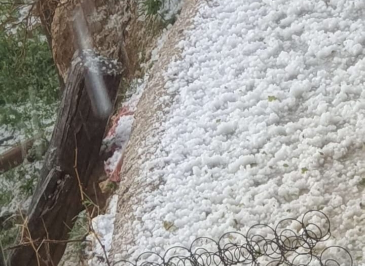 Yıldız: “Kayısı üreticisinin yanındayız, yaralar sarılmalı”