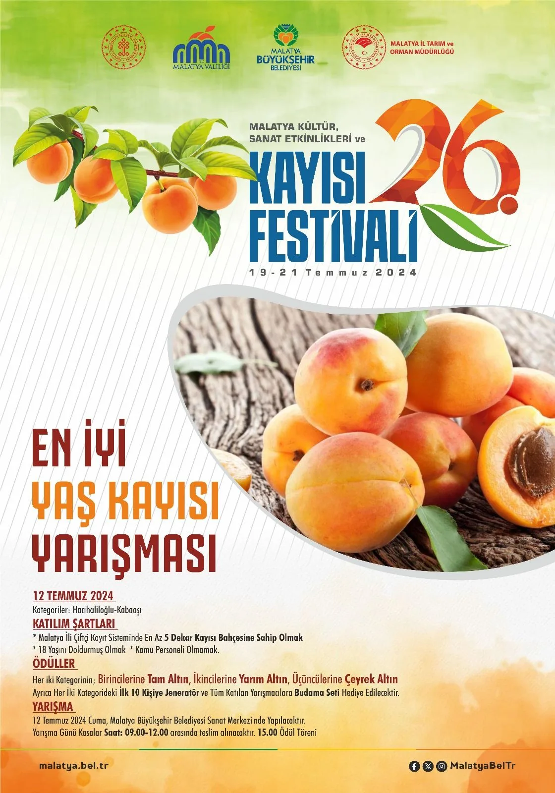 YAŞ KAYISI YARIŞMASI 12 TEMMUZ’DA YAPILACAK