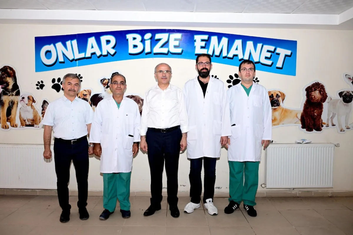 HAYVAN HAKLARINA KARŞI BİLİNÇLİ BİR TOPLUM OLUŞTURMALIYIZ