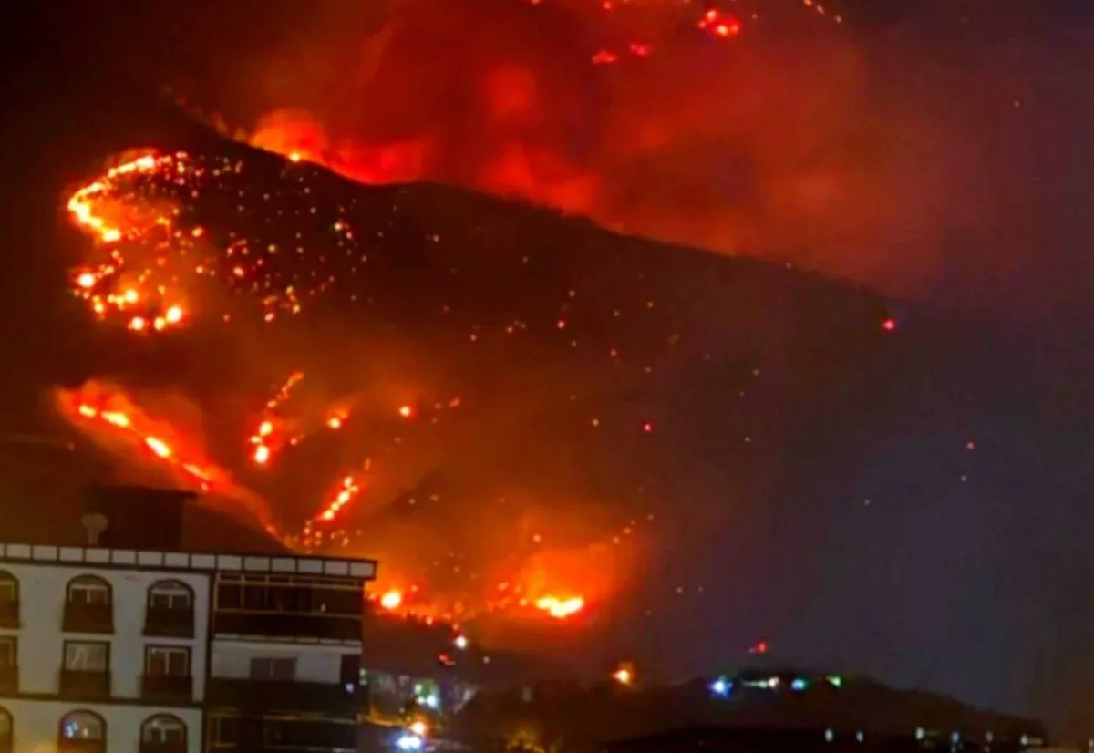 Orman Yangınlarıyla İlgili 10 Kişi Tutuklandı