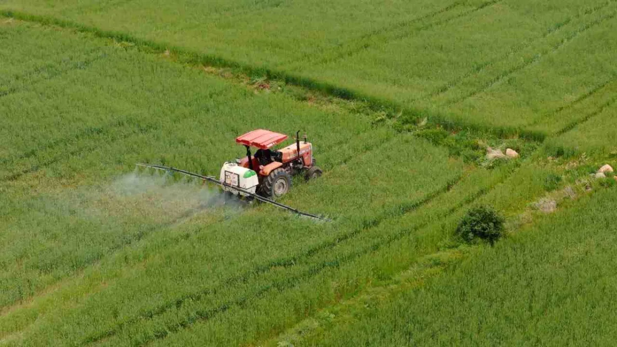 Çiftçilere 10,6 Milyar TL Tarımsal Destek Ödemesi Bugün Hesaplara Yatıyor